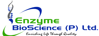 Enzyme BioScience pvt Ltd